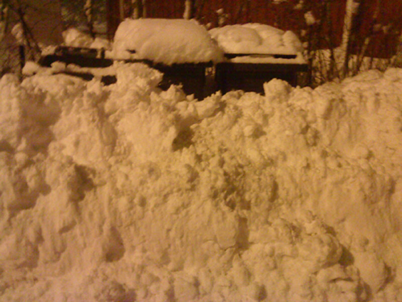 sc3b8plakassene-innesnc3b8d